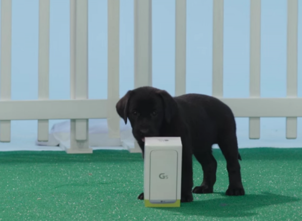 LG G5 Puppy Unboxing